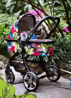 کالسکه و کریر جنگل کیدی مدل Evostar Jungle 177