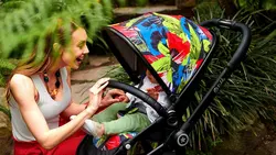 کالسکه و کریر جنگل کیدی مدل Evostar Jungle 177