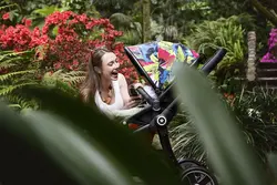 کالسکه و کریر جنگل کیدی مدل Evostar Jungle 177