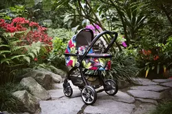 کالسکه و کریر جنگل کیدی مدل Evostar Jungle 177