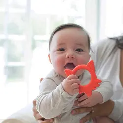 دندانگیر سیلیکونی کودک روباه دکتر براون Dr. Browns