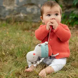 عروسک موزیکال اسب آبی بیبی فن