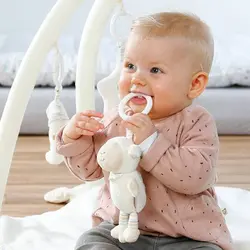 تشک بازی بره بیبی فن Babyfehn