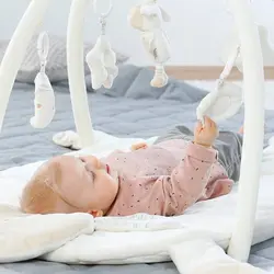 تشک بازی بره بیبی فن Babyfehn