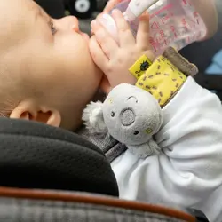 مچ بند کودک جغجغه ای کوآلا بیبی فن BABYFEHN