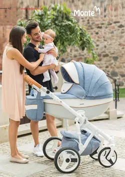 ست کالسکه طوسی 4 تکه آدامکس مدل MONTE D8