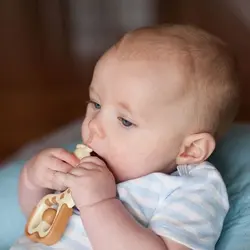 دندانگیر سیلیکونی کودک زرافه دکتر براون Dr. Browns