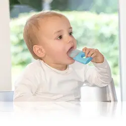 دندانگیر یخی سبز کاکتوس کیدزمی