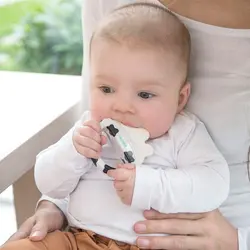 دندانگیر یخی مدل گاو کیدزمی