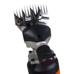 پشم چین گوسفندی برقی مرسل اصلی ترکیه واردات مستقیم با برگه سبزگمرک ترخیص