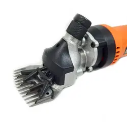 پشم چین گوسفندی برقی مرسل اصلی ترکیه واردات مستقیم با برگه سبزگمرک ترخیص