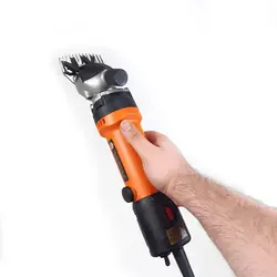 پشم چین گوسفندی برقی مرسل اصلی ترکیه واردات مستقیم با برگه سبزگمرک ترخیص