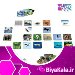 بازی کارتی زیستاس