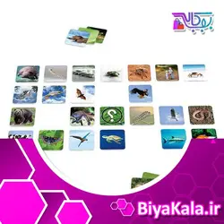 بازی کارتی زیستاس
