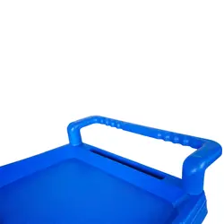 ترولی پذیرایی راویس