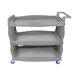 ترولی پذیرایی راویس