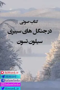 کتاب صوتی در جنگل های سيبری نویسنده : سيلون تسون مترجم : پریزاد تجلی
