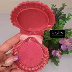 رژگونه پرطرفدار مدل صدفی آرت اسکین Artskin &ndash; فروشگاه اینترنتی خوان خان