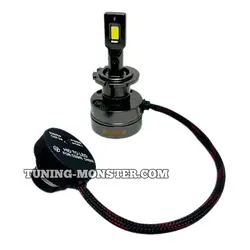 هدلایت Z13 زیمر D4S-D2S
