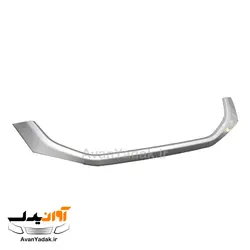 زه نقره ای جلو پنجره ساینا اس