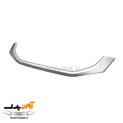 زه نقره ای جلو پنجره ساینا اس