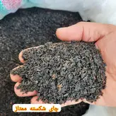 چای شکسته ممتاز گیلان با رنگ دهی فراوان و عطر طبیعی چای بسته 500 گرمی