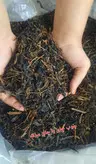 چوب چای یا چای قهوه خانه ای با کیفیت مناسب و طبیعی و بدون اسانس (بسته ۱۰۰۰ گرمی)