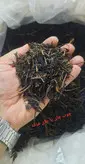 چوب چای یا چای قهوه خانه ای با کیفیت مناسب و طبیعی و بدون اسانس (بسته ۱۰۰۰ گرمی)