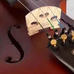 خرید ویولن چهارچهارم اشتاینر Steiner آکبند - دنیای ساز