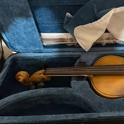 خرید ویولن فردار آبنوس پائولو مگینی Maggini - دنیای ساز