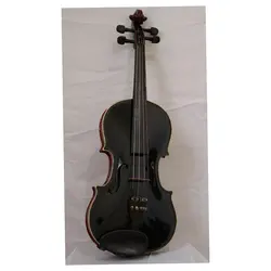 خرید ویولن آکوستیک هوران HOORAN کلاس B آکبند - دنیای ساز