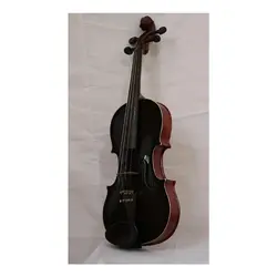 خرید ویولن آکوستیک هوران HOORAN کلاس B آکبند - دنیای ساز