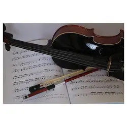 خرید ویولن آکوستیک هوران HOORAN کلاس B آکبند - دنیای ساز