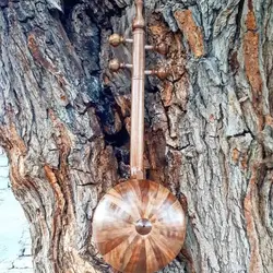خرید کمانچه کاسه بزرگ دسته استخوان خیام آکبند - دنیای ساز