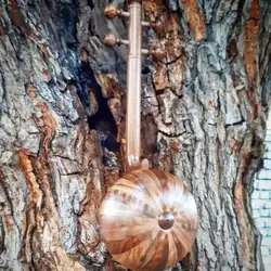 خرید کمانچه کاسه بزرگ دسته استخوان خیام آکبند - دنیای ساز