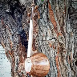 خرید کمانچه کاسه بزرگ دسته استخوان خیام آکبند - دنیای ساز