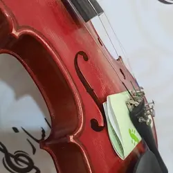 خرید ویولن 4/4 پائولو مگینی Maggini آکبند - دنیای ساز