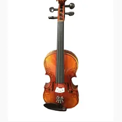 خرید ویولن حرفه ای پائولو مگینی Maggini چهارچهارم آکبند - دنیای ساز