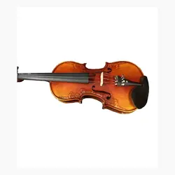 خرید ویولن حرفه ای پائولو مگینی Maggini چهارچهارم آکبند - دنیای ساز