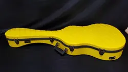 خرید هاردکیس گیتار کلاسیک rahavi رهاوی آکبند - دنیای ساز