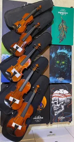 خرید ویولن کلاسیک پائولو مگینی Paolo Maggini آکبند - دنیای ساز