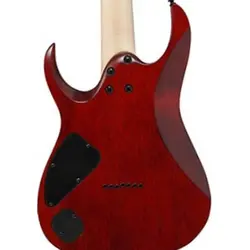 خرید گیتار الکتریک آیبانز مدل IBANEZ RGA 742 FM آکبند - دنیای ساز