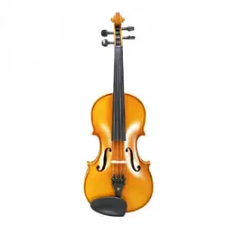 خرید ویولن TF تی اف مدل 142 چهارچهارم آکبند - دنیای ساز