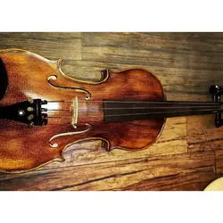 خرید ویولن هافنر مدل Hofner SG600 آکبند - دنیای ساز