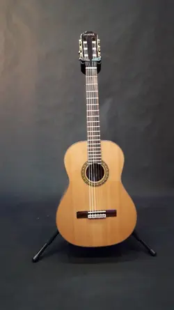 خرید ‏گیتار کلاسیک phoenix فونیکس آکبند - دنیای ساز