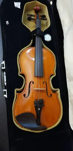 خرید ویولن دست‌ساز Richmann ریچمن آکبند - دنیای ساز