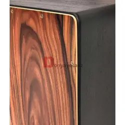 خرید کاخن PUR پور مدل VISION SP-PRO SANTOS Palisander آکبند - دنیای ساز