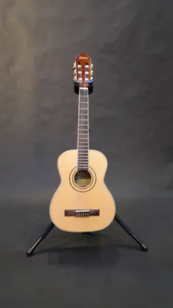 خرید گیتار کلاسیک سانتانا Santana مدل cg010 آکبند - دنیای ساز