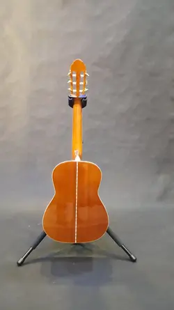 خرید گیتار کلاسیک سانتانا Santana مدل cg010 آکبند - دنیای ساز