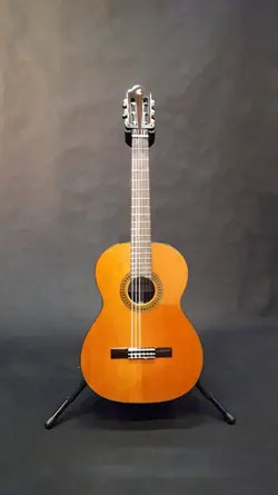 خرید گیتار کلاسیک cordobes کوردوبز cg25lm آکبند - دنیای ساز